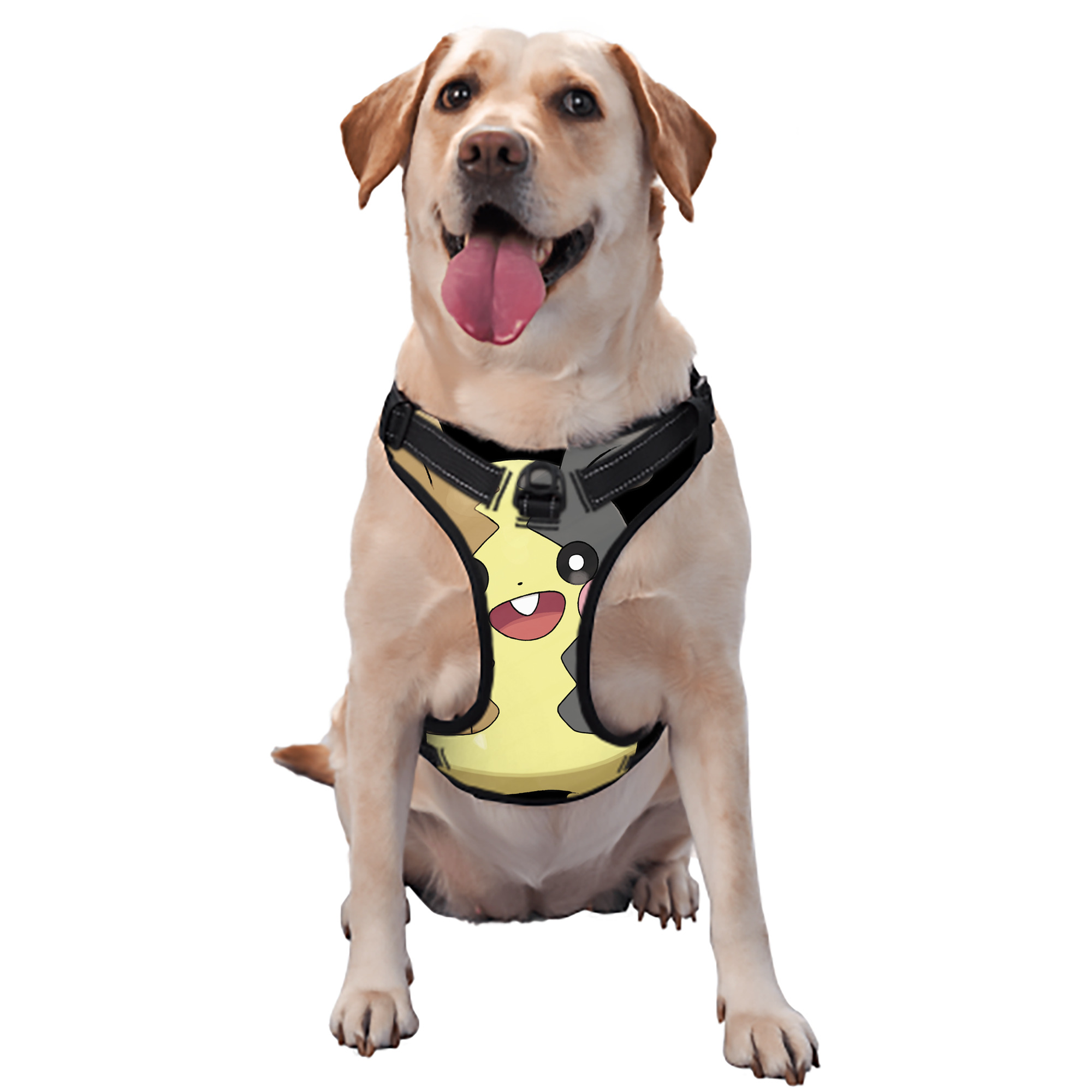 （画像用） ポケットモンスター Pokémon ペット用ハーネス